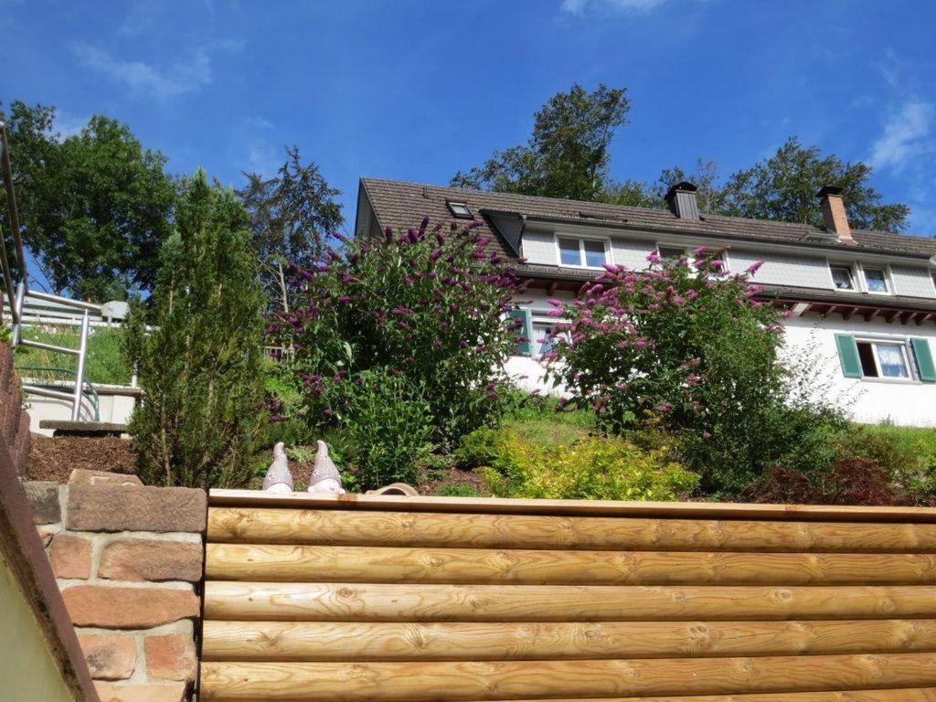 Ferienwohnung Am Kapellenberg - Am Rande Des Nationalparks Schwarzwald Бад-Петерсталь-Ґрісбах Екстер'єр фото