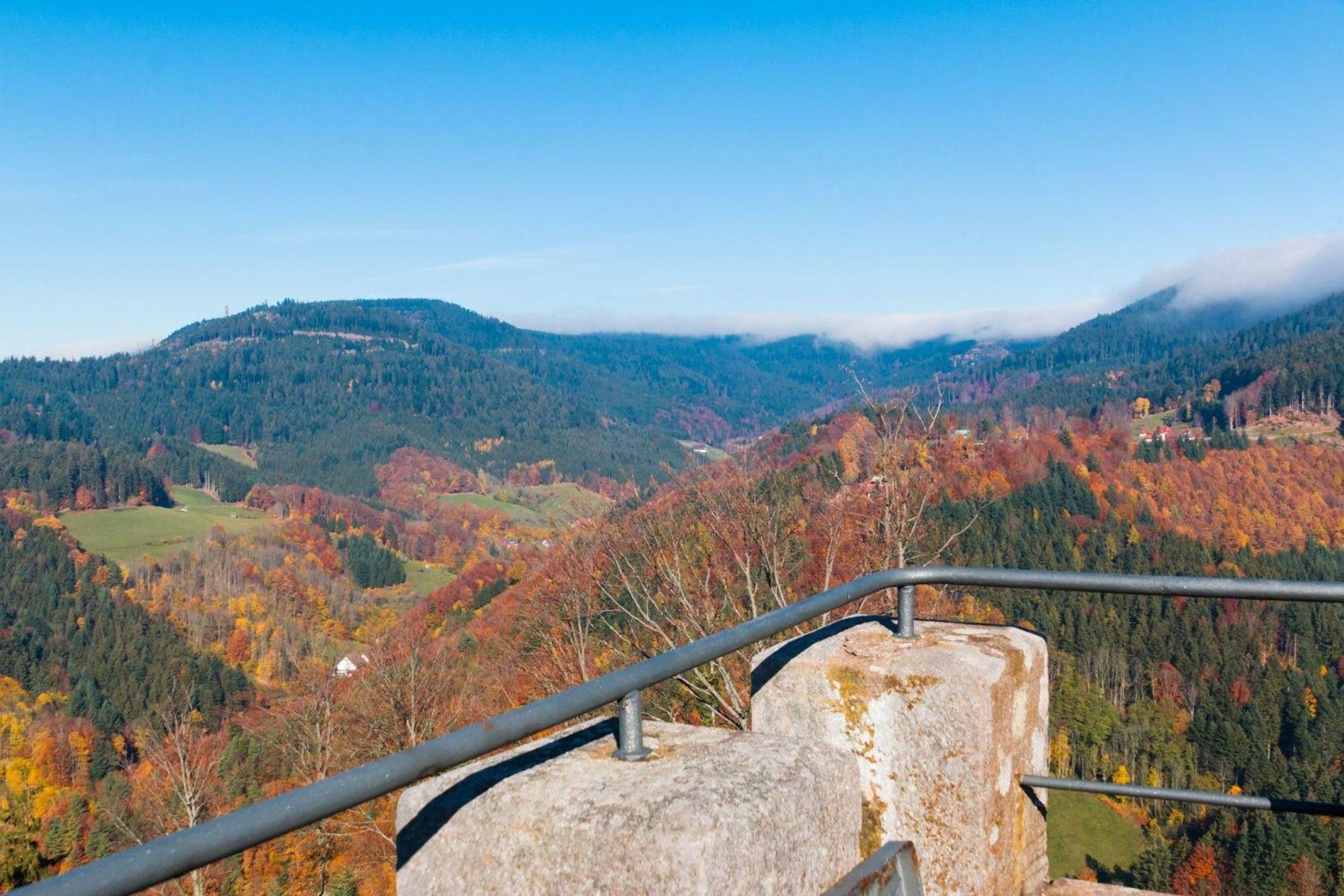 Ferienwohnung Am Kapellenberg - Am Rande Des Nationalparks Schwarzwald Бад-Петерсталь-Ґрісбах Екстер'єр фото