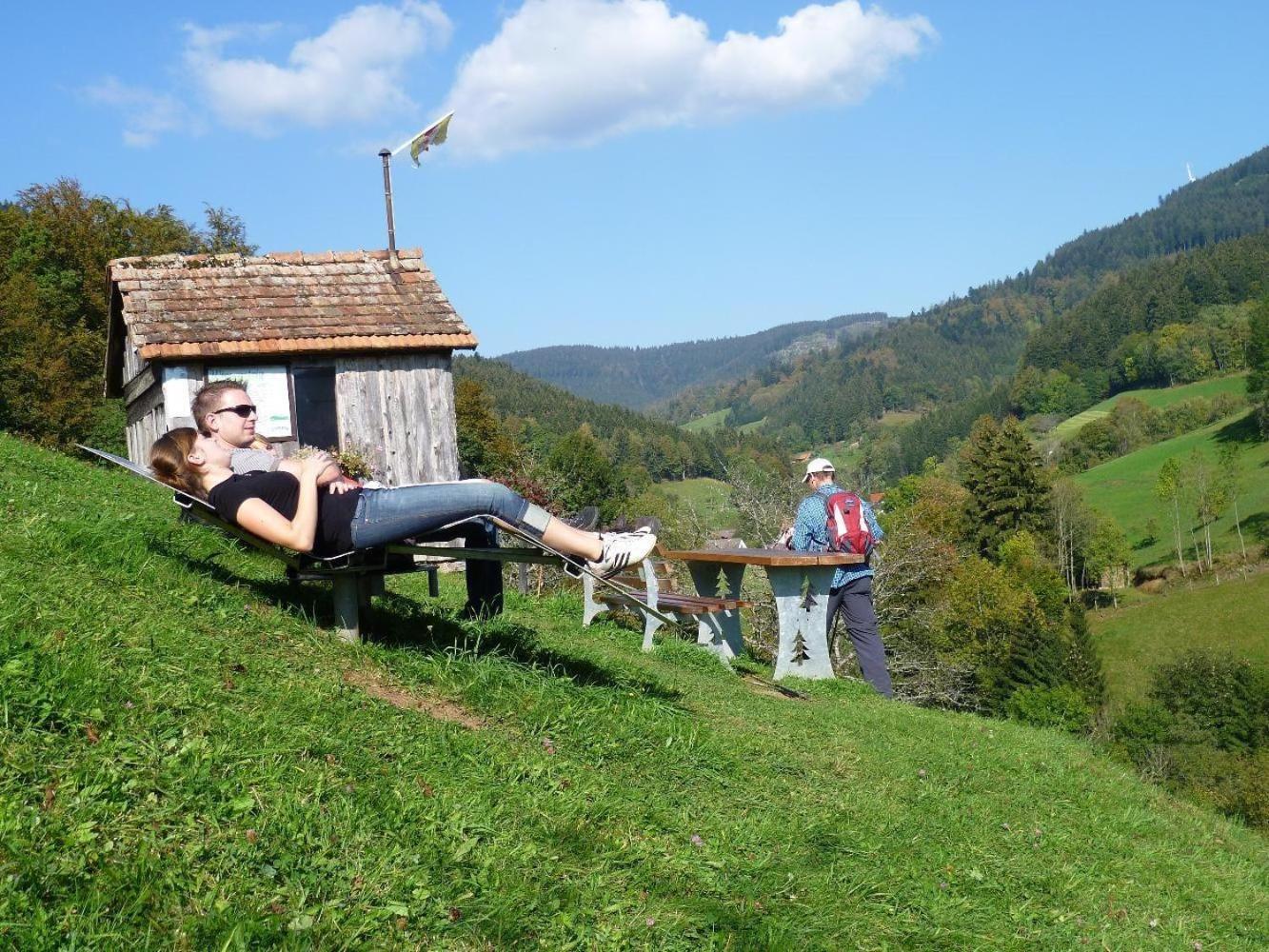 Ferienwohnung Am Kapellenberg - Am Rande Des Nationalparks Schwarzwald Бад-Петерсталь-Ґрісбах Екстер'єр фото