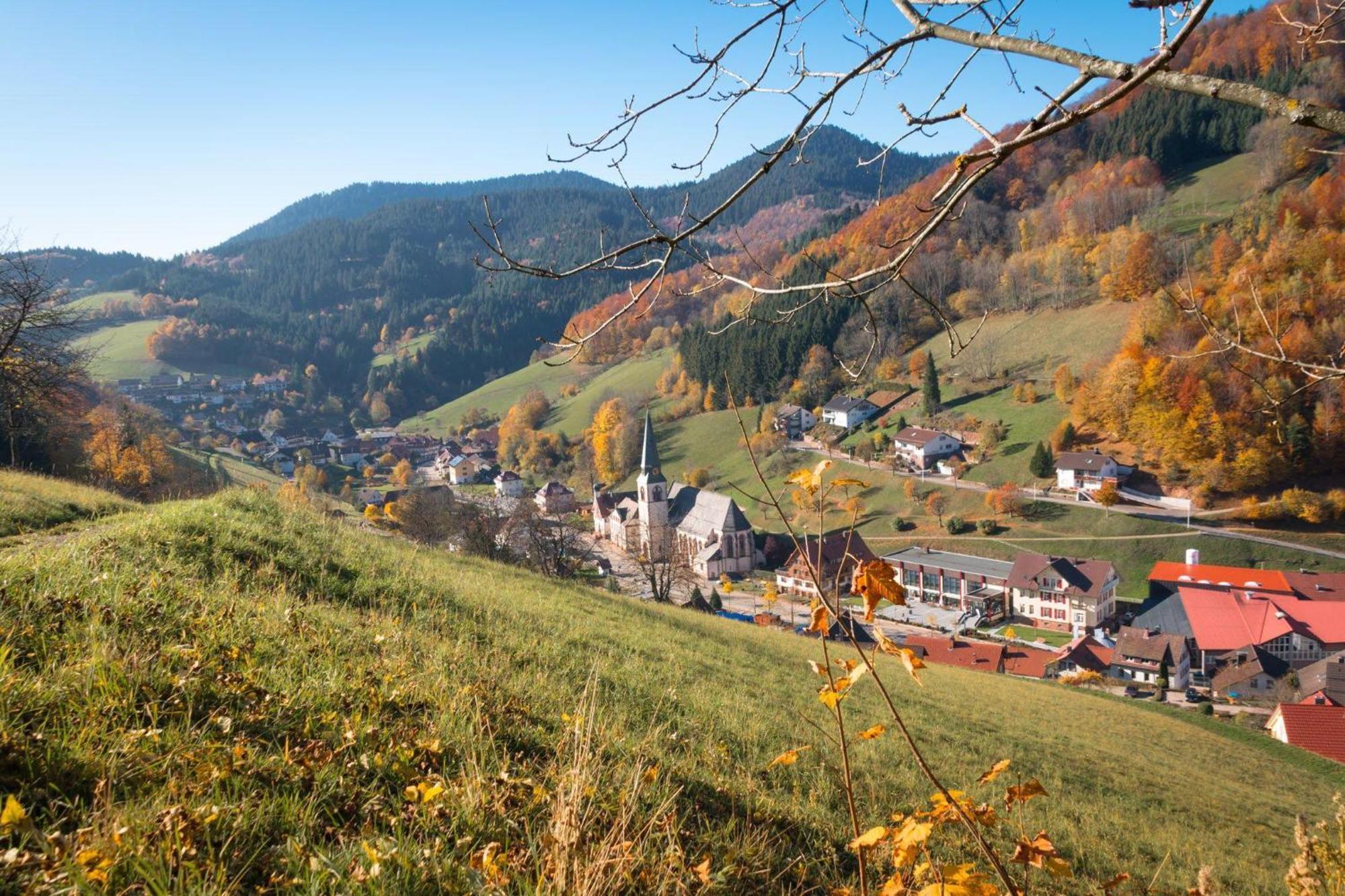Ferienwohnung Am Kapellenberg - Am Rande Des Nationalparks Schwarzwald Бад-Петерсталь-Ґрісбах Екстер'єр фото