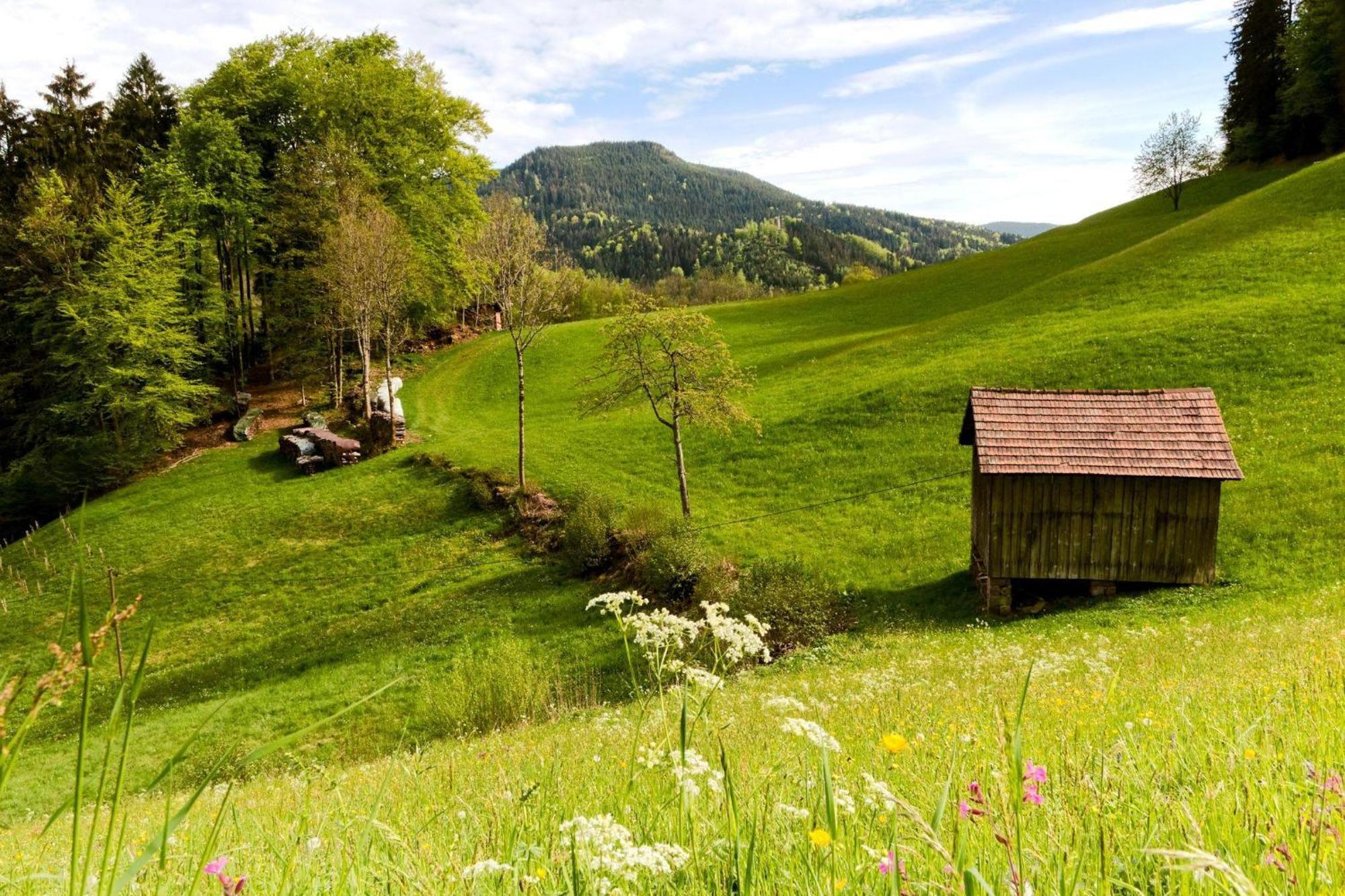 Ferienwohnung Am Kapellenberg - Am Rande Des Nationalparks Schwarzwald Бад-Петерсталь-Ґрісбах Екстер'єр фото